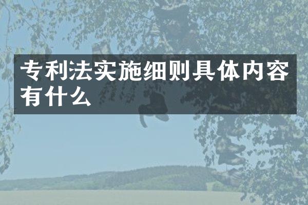 专利法实施细则具体内容有什么