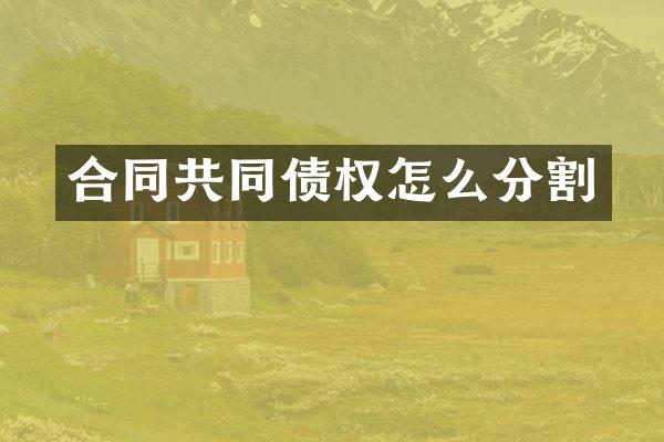合同共同债权怎么分割