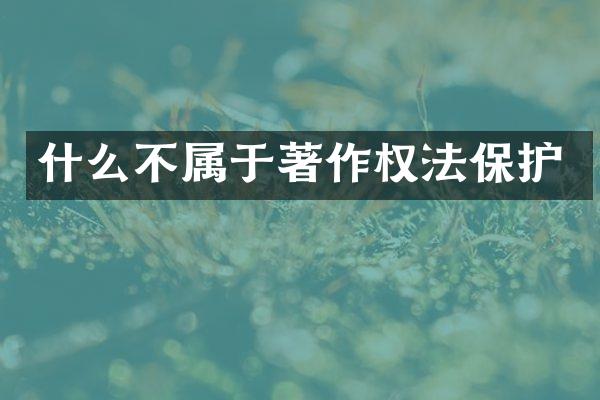 什么不属于著作权法保护