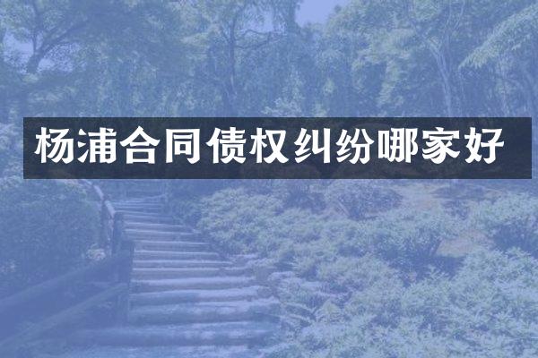 杨浦合同债权纠纷哪家好