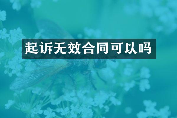 起诉无效合同可以吗