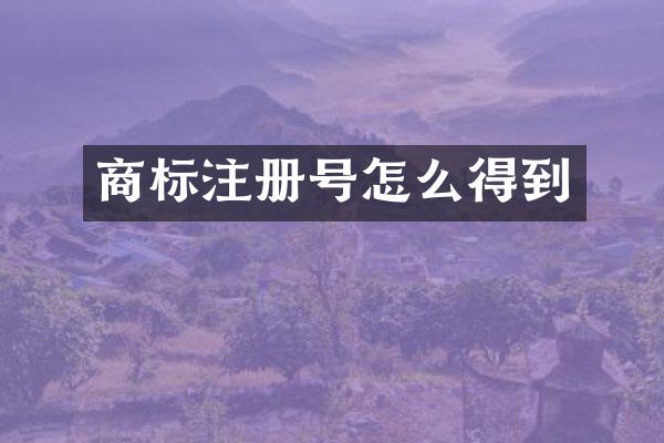 商标注册号怎么得到