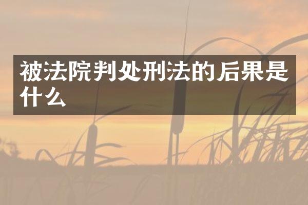 被法院判处刑法的后果是什么