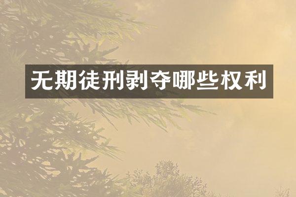 无期徒刑剥夺哪些权利