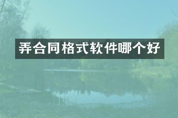弄合同格式软件哪个好