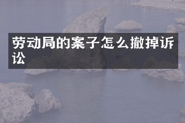 劳动局的案子怎么撤掉诉讼