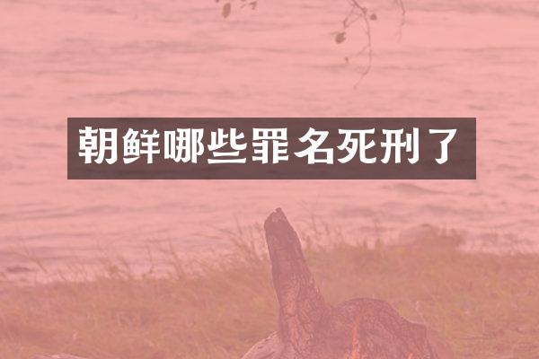 朝鲜哪些罪名死刑了
