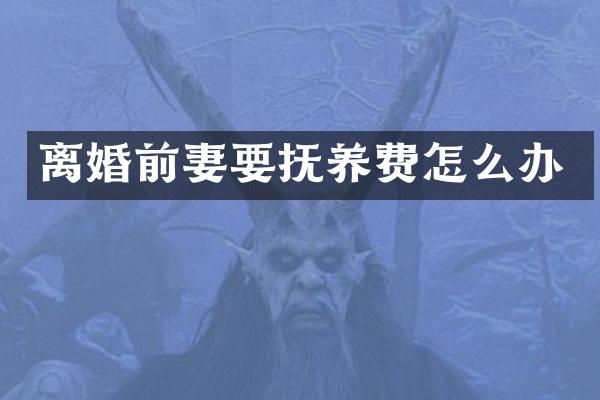 离婚前妻要抚养费怎么办