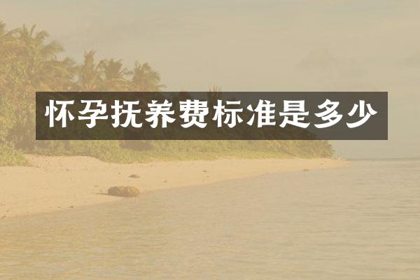 怀孕抚养费标准是多少