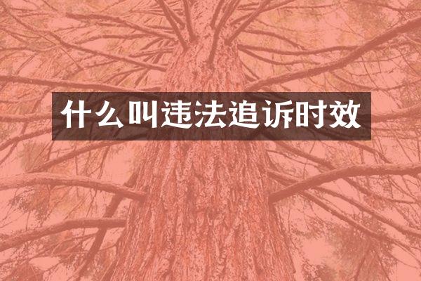什么叫违法追诉时效