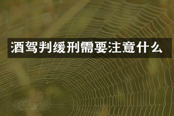 酒驾判缓刑需要注意什么