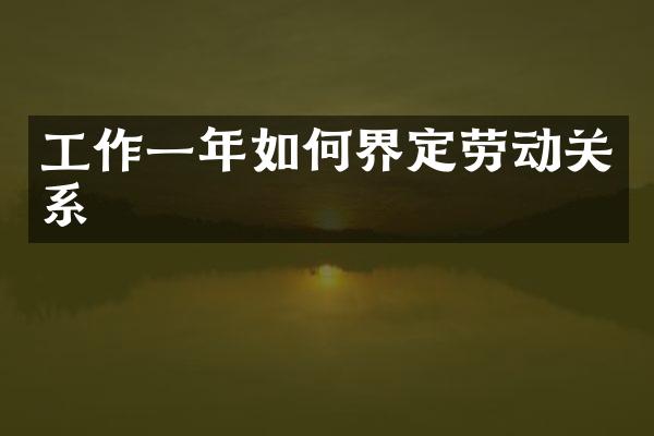 工作一年如何界定劳动关系