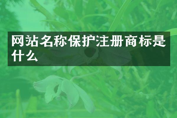 网站名称保护注册商标是什么