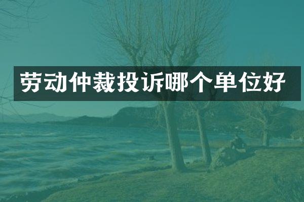 劳动仲裁投诉哪个单位好