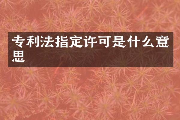 专利法指定许可是什么意思