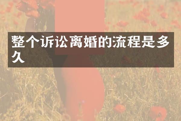 整个诉讼离婚的流程是多久