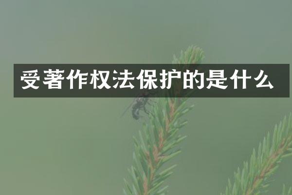 受著作权法保护的是什么