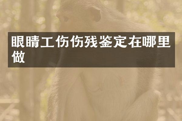 眼睛工伤伤残鉴定在哪里做
