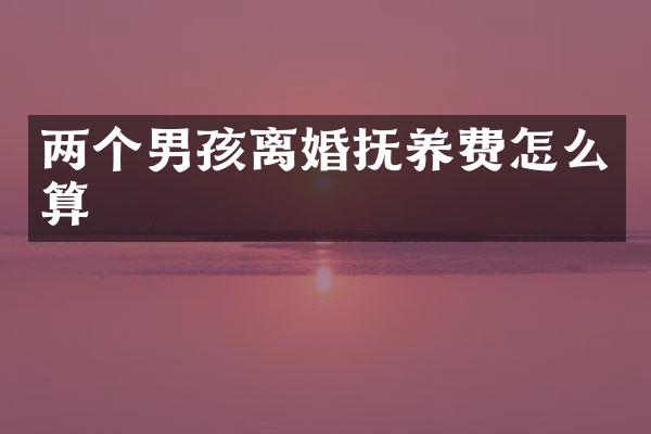 两个男孩离婚抚养费怎么算