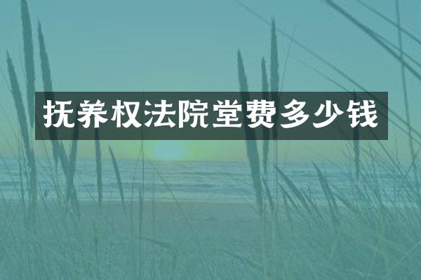 抚养权法院堂费多少钱