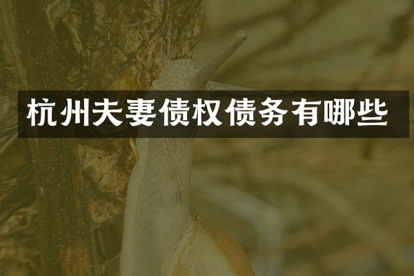 杭州夫妻债权债务有哪些