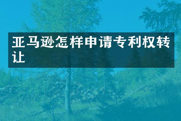 亚马逊怎样申请专利权转让