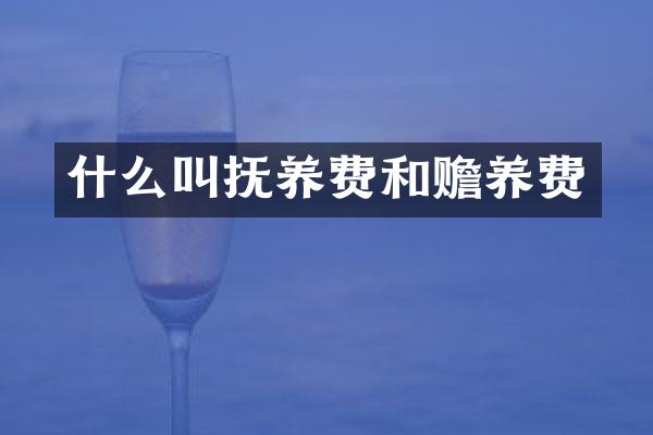 什么叫抚养费和赡养费