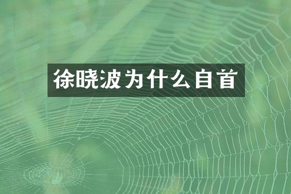 徐为什么自首
