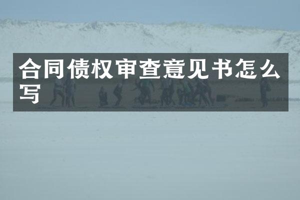 合同债权审查意见书怎么写
