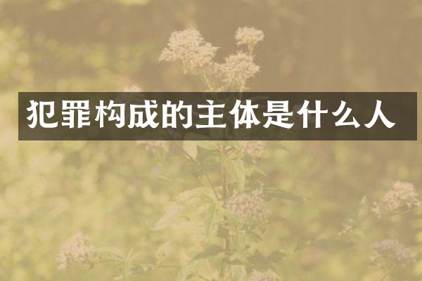犯罪构成的主体是什么人