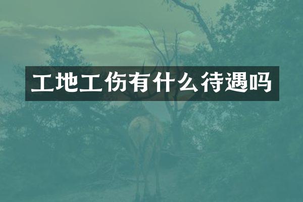 工地工伤有什么待遇吗