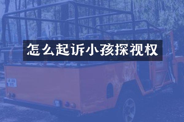 怎么起诉小孩探视权