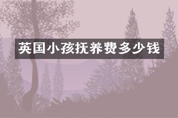 英国小孩抚养费多少钱