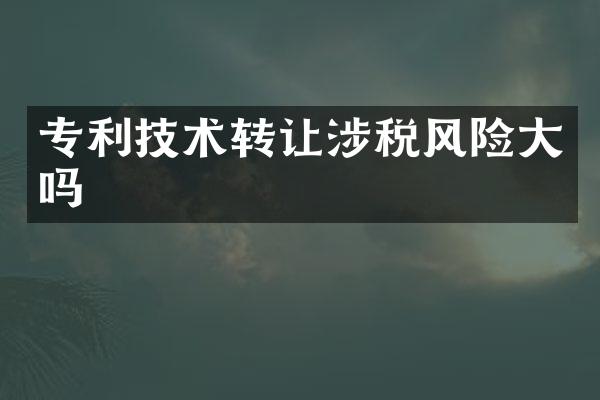 专利技术转让涉税风险大吗