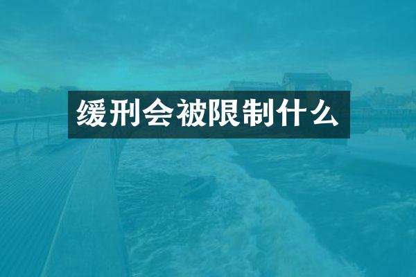缓刑会被限制什么