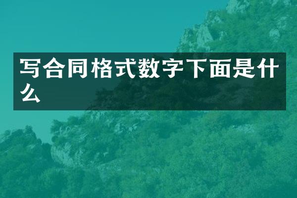 写合同格式数字下面是什么