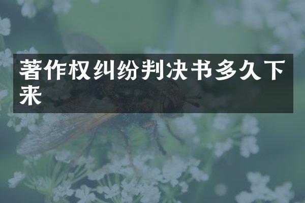 著作权纠纷判决书多久下来