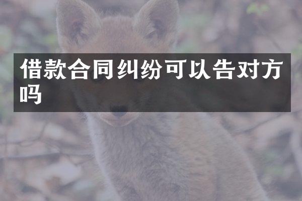借款合同纠纷可以告对方吗