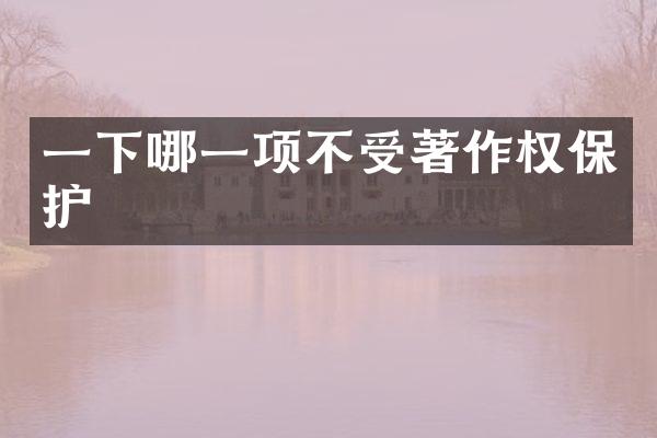 一下哪一项不受著作权保护