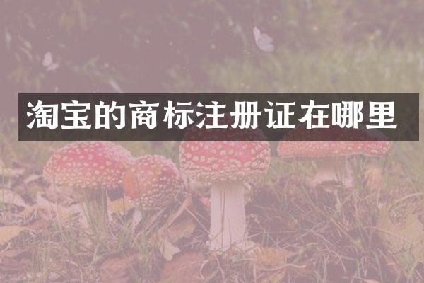 淘宝的商标注册证在哪里