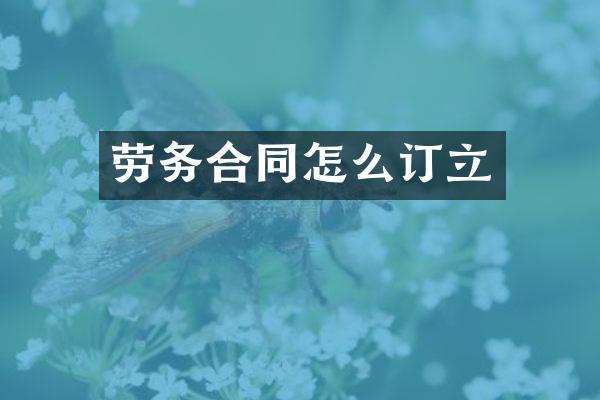 劳务合同怎么订立