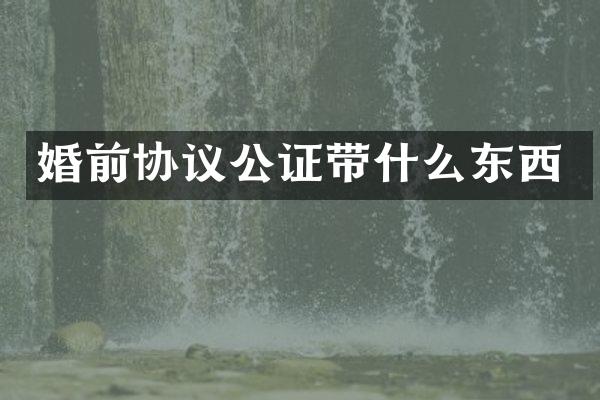 婚前协议公证带什么东西