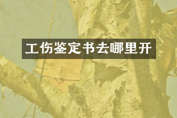 工伤鉴定书去哪里开