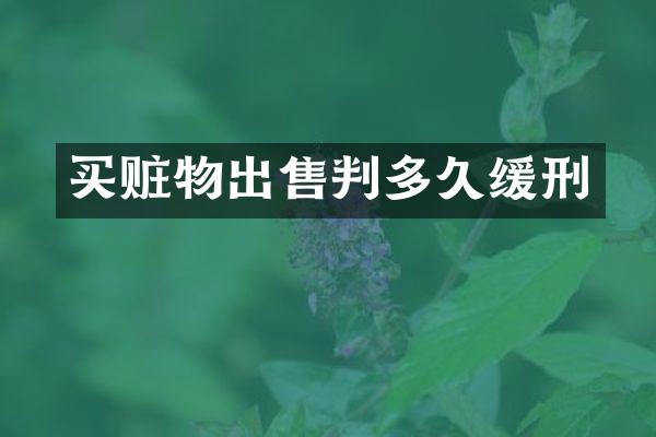 买赃物出售判多久缓刑