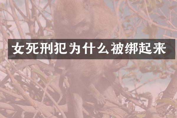女死刑犯为什么起来