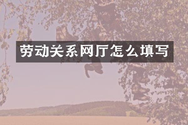劳动关系网厅怎么填写