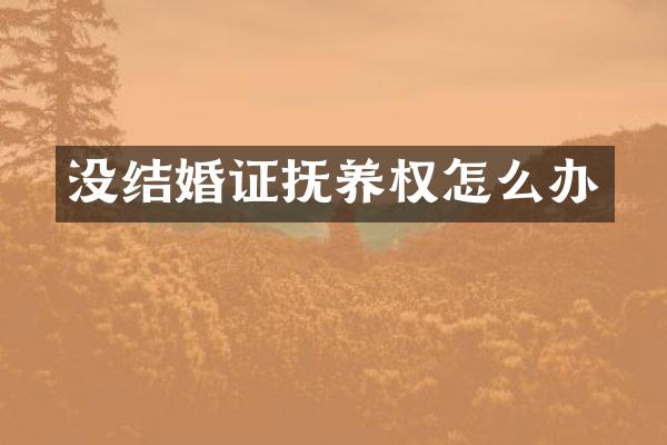 没结婚证抚养权怎么办