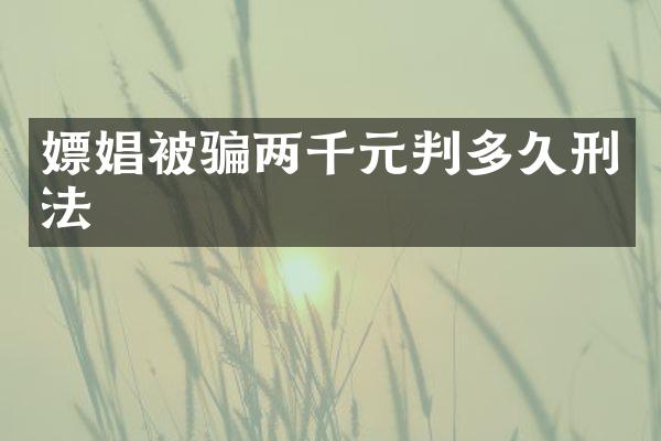 被骗两千元判多久刑法