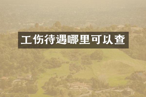 工伤待遇哪里可以查