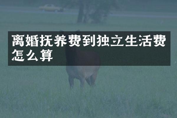离婚抚养费到独立生活费怎么算
